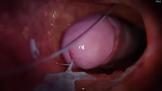 Enduring sex with a friend in different poses&comma; animation from transmitted to game